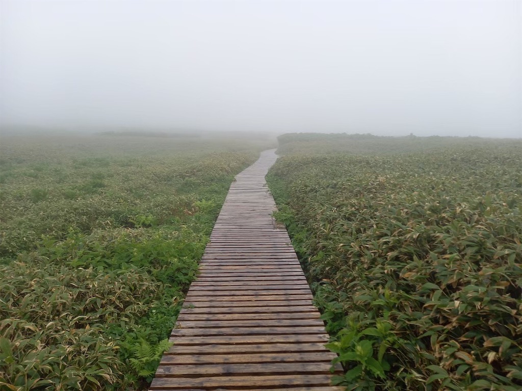 f:id:gokryu:20210125212855j:image