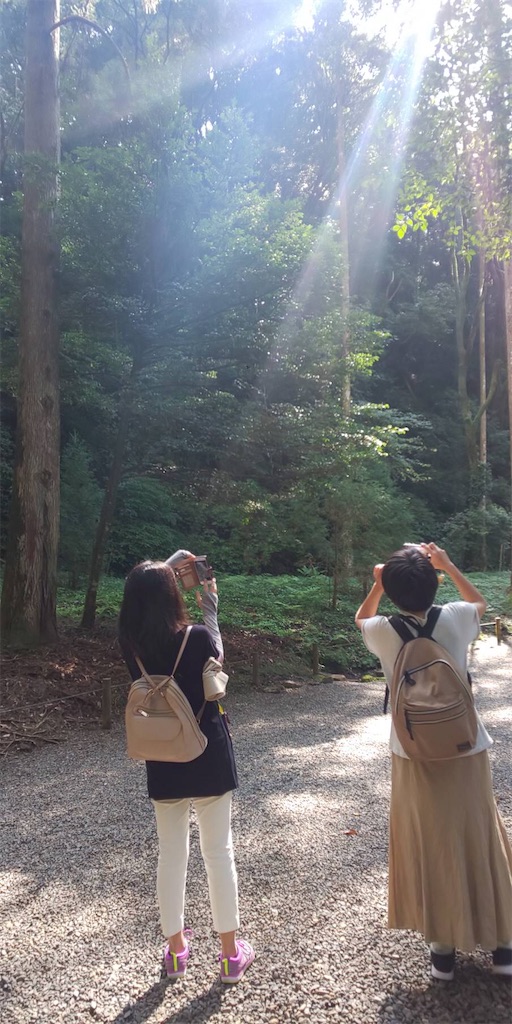 f:id:gokryu:20210129152518j:image f:id:gokryu:20210129152518j:image