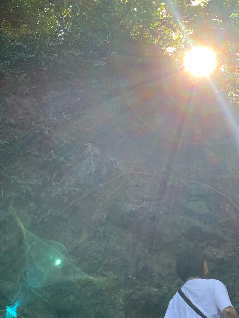 f:id:gokryu:20210129152542j:image f:id:gokryu:20210129152542j:image