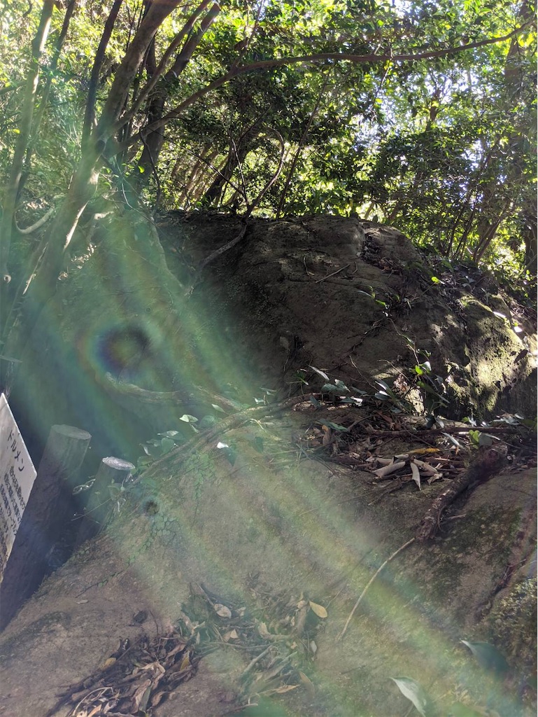 f:id:gokryu:20210129152555j:image f:id:gokryu:20210129152555j:image