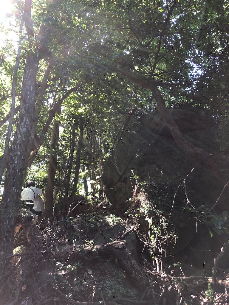 f:id:gokryu:20210129154341j:image f:id:gokryu:20210129154341j:image