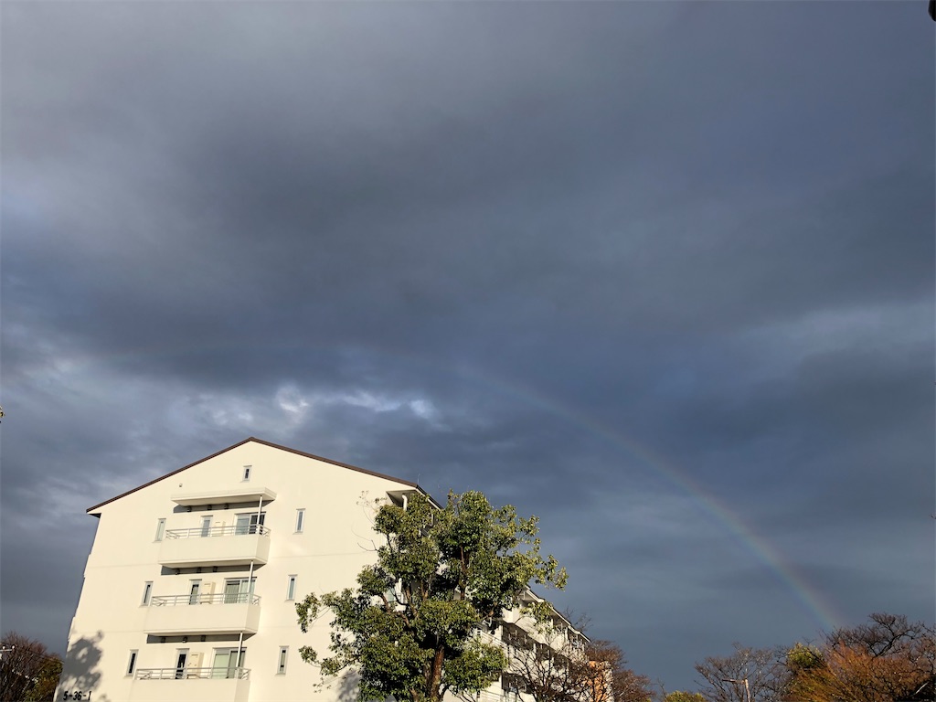 f:id:gokryu:20210215165339j:image