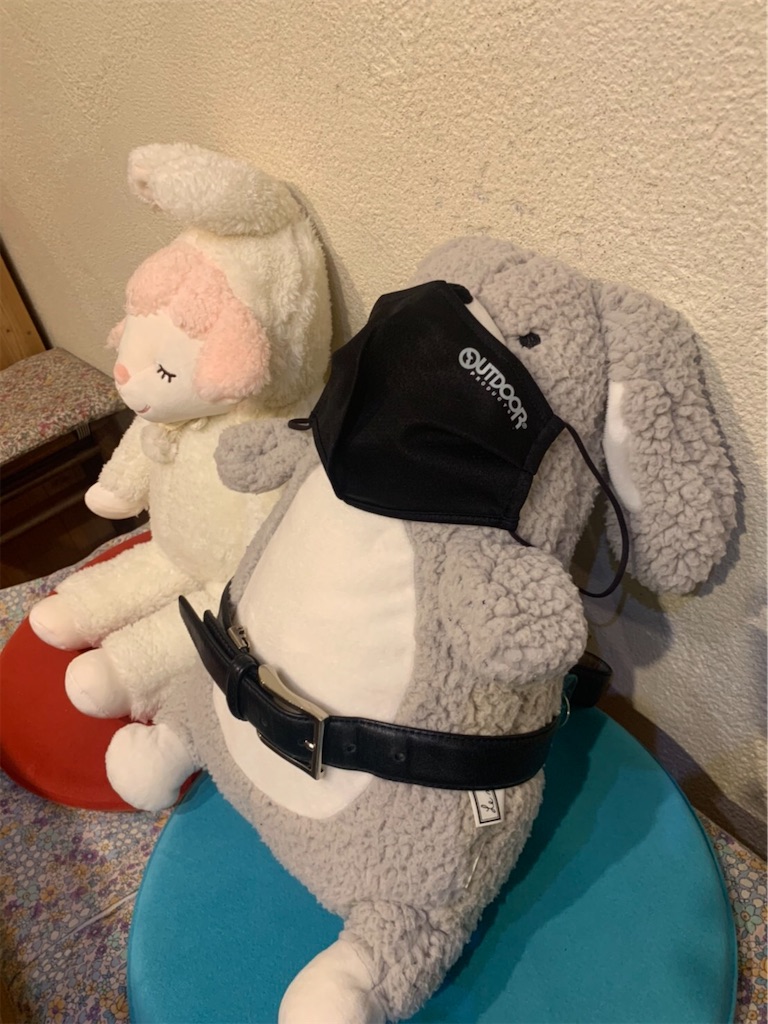 f:id:gokryu:20210219214636j:image