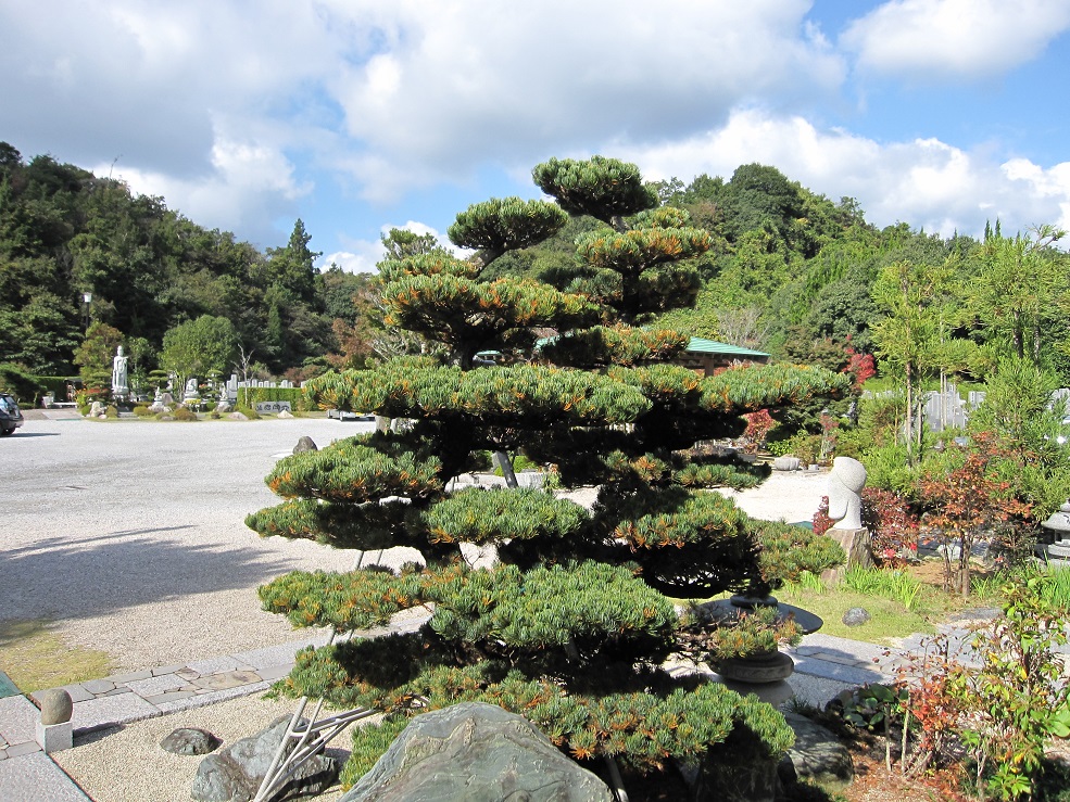 f:id:gokurakuboen:20211104100833j:plain