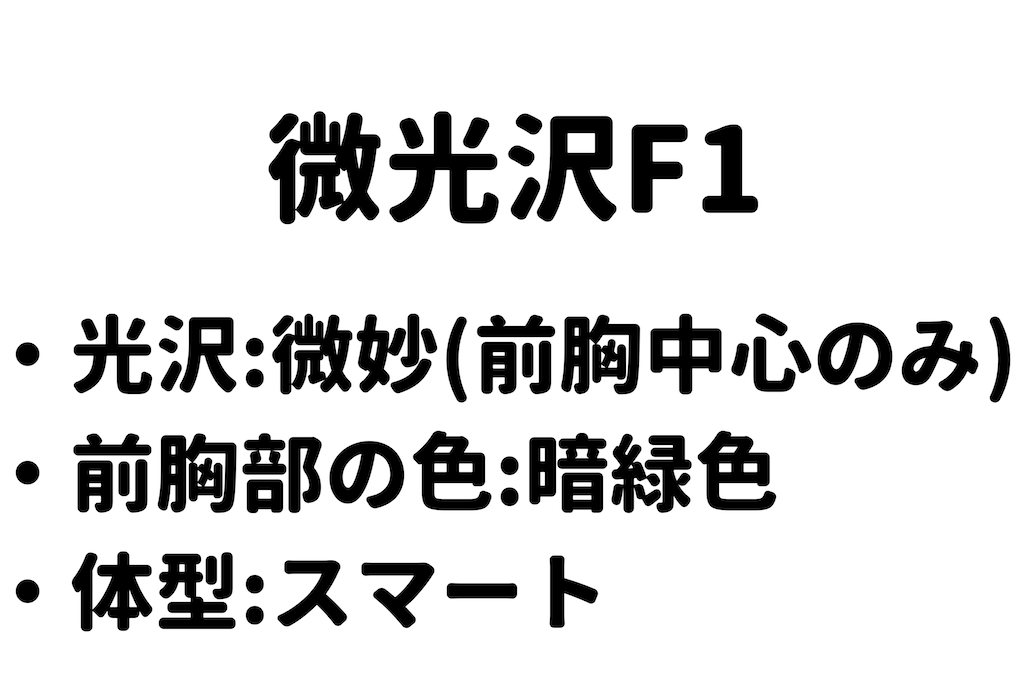 f:id:gokusaishiki:20241224224357p:image