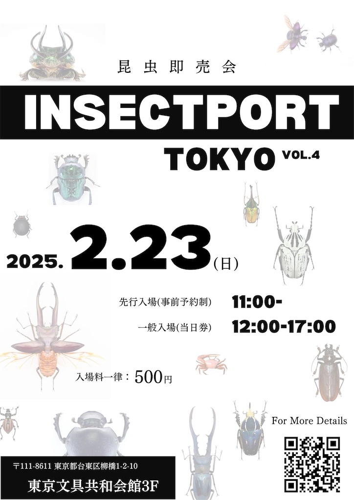 f:id:gokusaishiki:20250304192951j:image