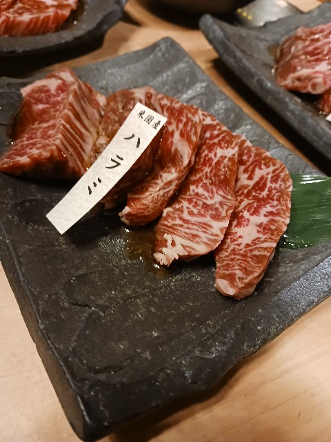 f:id:gokusenblog:20240519220027j:image