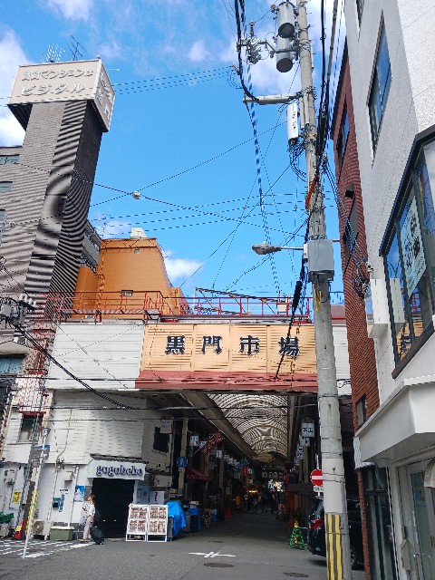f:id:gokusenblog:20240611184511j:image