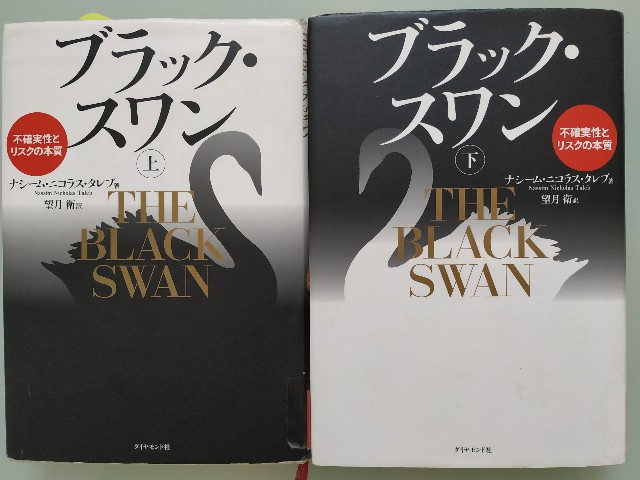 新しい友人が出来ました。賢そうなんですが、まだよく分かりません（笑