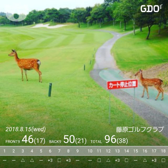 f:id:gol_g:20190211170932j:image