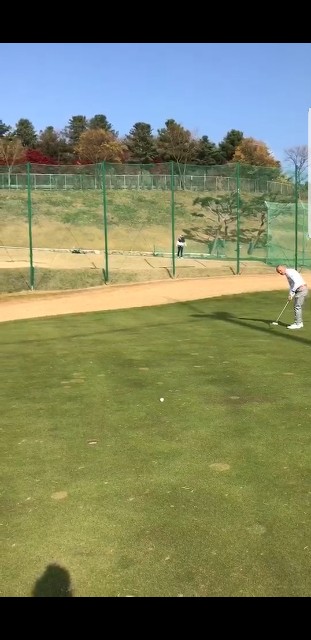 f:id:gol_g:20190308152130j:image f:id:gol_g:20190308152130j:image