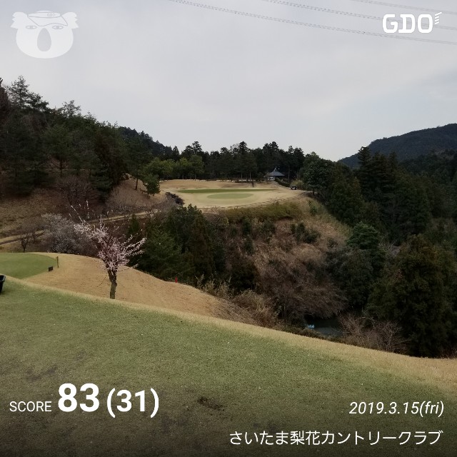 f:id:gol_g:20190316140010j:image