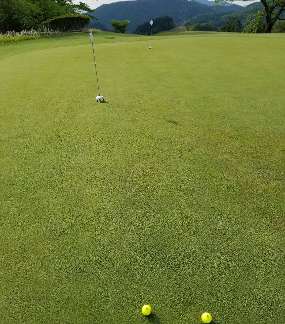 f:id:gol_g:20190512110623j:image f:id:gol_g:20190512110623j:image