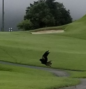 f:id:gol_g:20190722183539j:image f:id:gol_g:20190722183539j:image