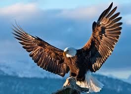 f:id:gol_g:20191225032919j:plain