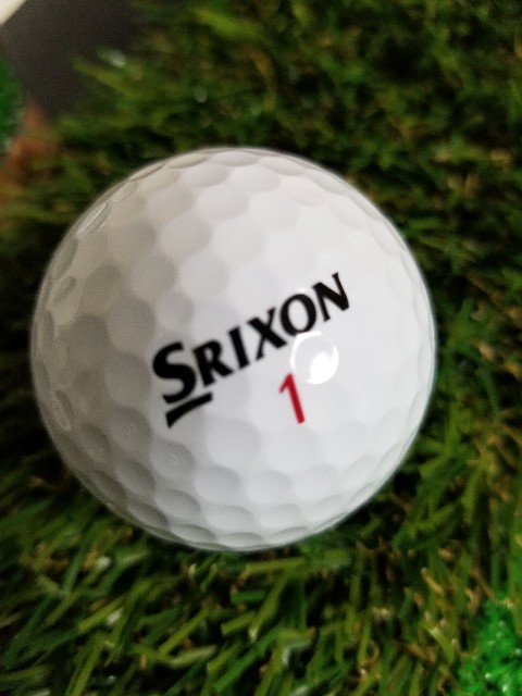 f:id:gol_g:20210122131635j:image f:id:gol_g:20210122131635j:image