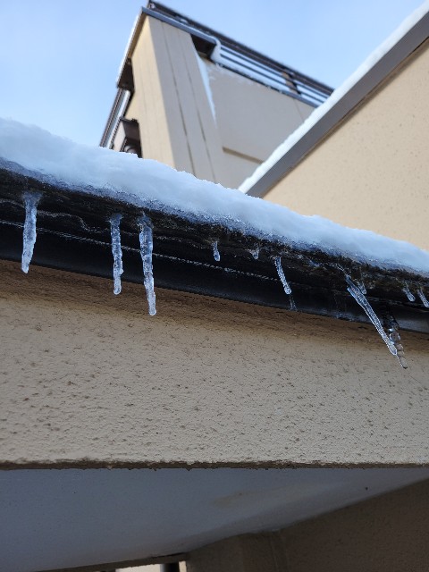 f:id:gol_g:20220102105252j:image f:id:gol_g:20220102105252j:image