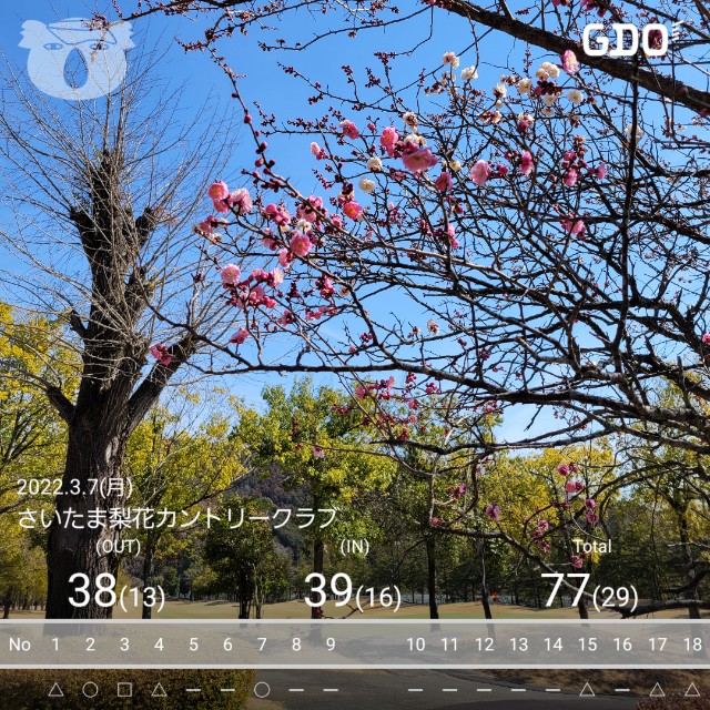 f:id:gol_g:20220307200423j:image