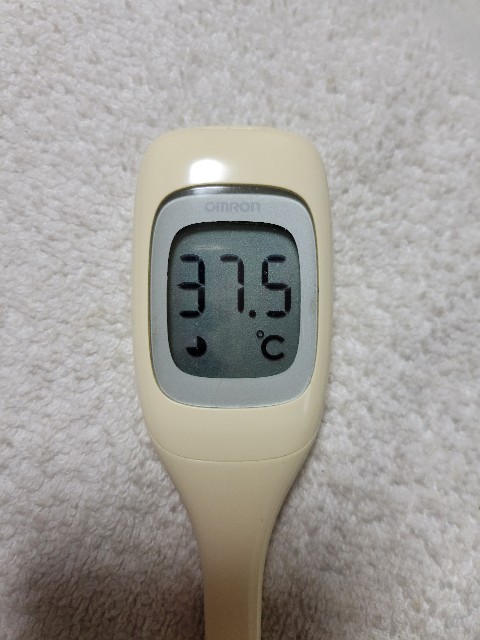 f:id:gol_g:20230401175028j:image