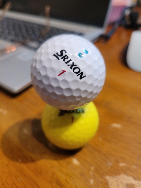 f:id:gol_g:20231013151142j:image f:id:gol_g:20231013151142j:image