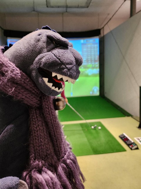 f:id:gol_g:20240110230206j:image f:id:gol_g:20240110230206j:image