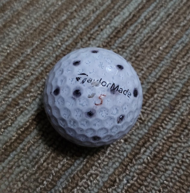 f:id:gol_g:20240618122606j:image f:id:gol_g:20240618122606j:image