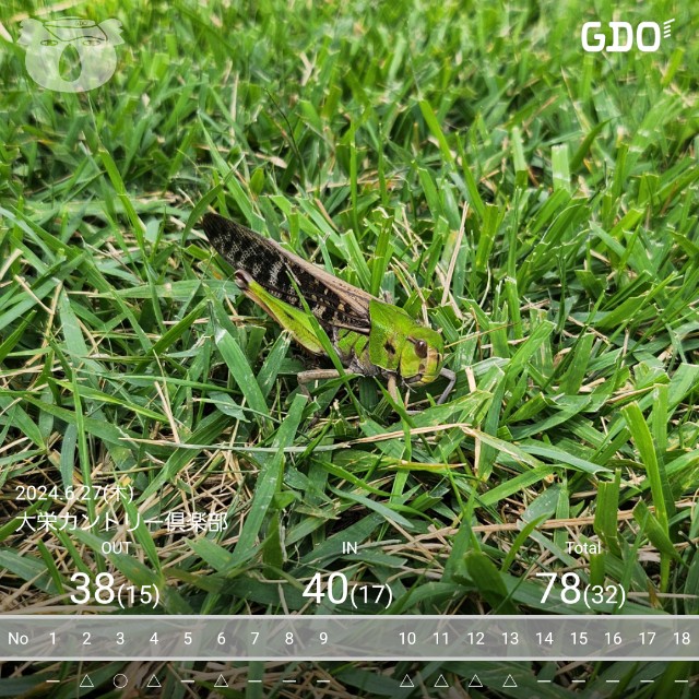 f:id:gol_g:20240627213224j:image