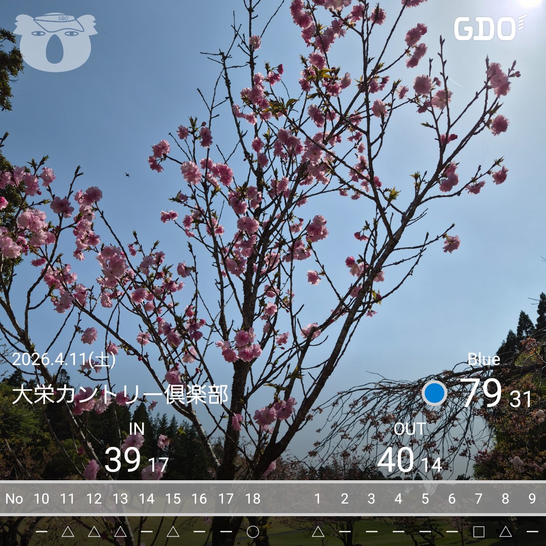 f:id:gol_g:20260411161858j:image