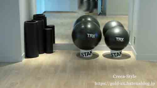 ウェスティンホテル東京 フィットネススタジオ TRXのバランスボール