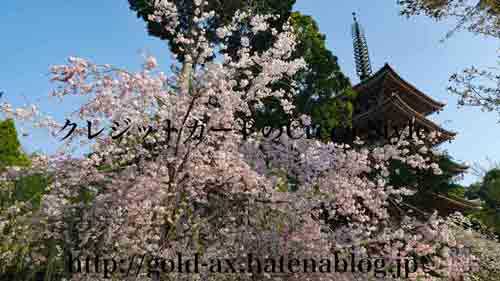 アメックス 京都 醍醐寺・三宝院 桜の夜間特別拝観