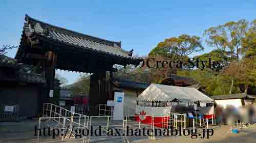 アメックス 京都 醍醐寺・三宝院 桜の夜間特別拝観