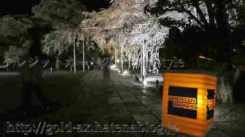 アメックス 京都 醍醐寺・三宝院 桜の夜間特別拝観