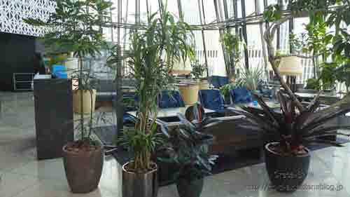 THE GREEN Cafe American Express×数寄屋橋茶房