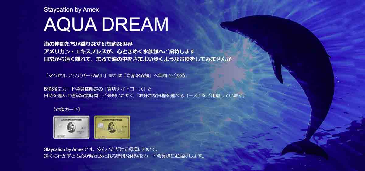 アメックス Staycation by Amex AQUA DREAM