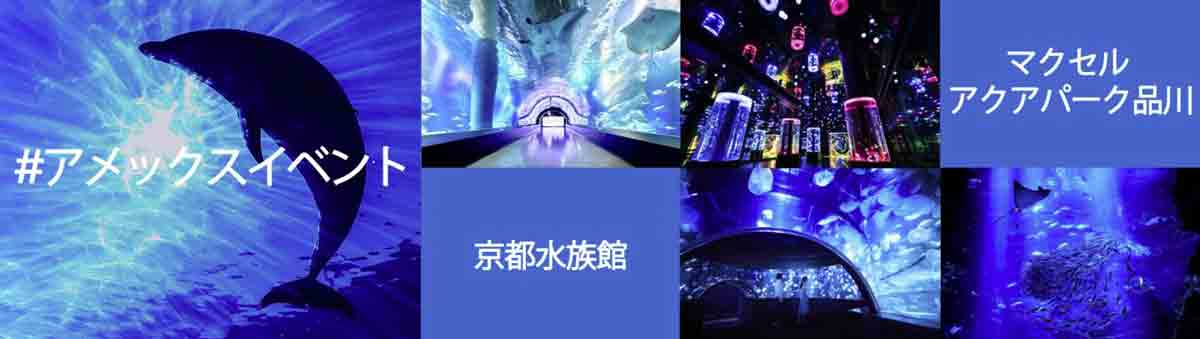 アメックス Staycation by Amex AQUA DREAM