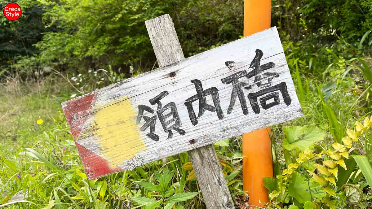 大台町 領内橋