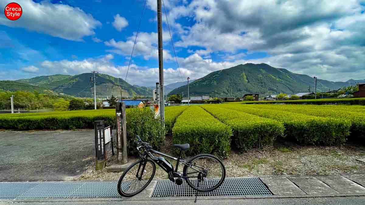 大台町観光協会 茶臼山