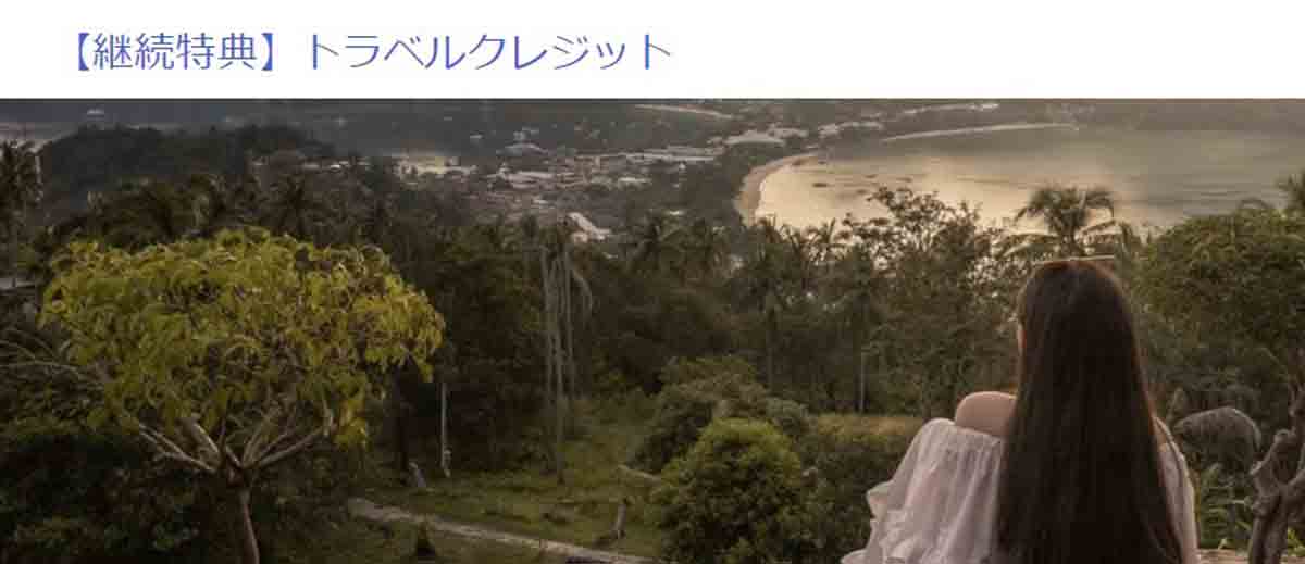 トラベルクレジット
