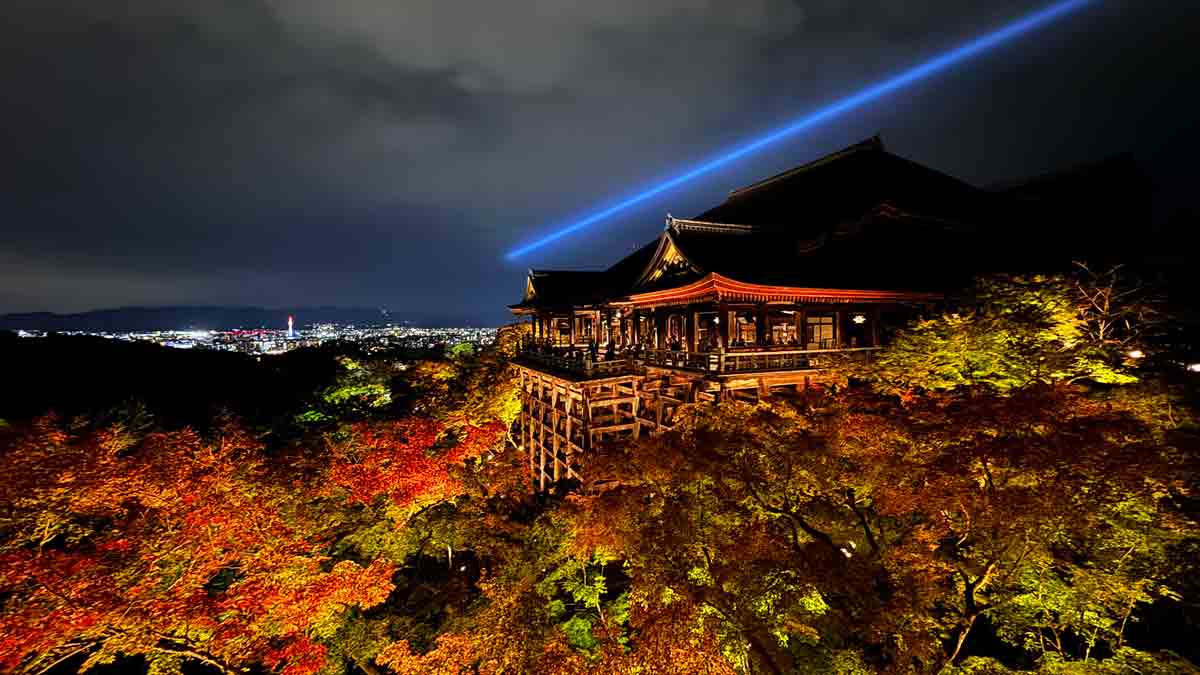 アメックス 清水寺 秋のナイトビューイング Only for Amex