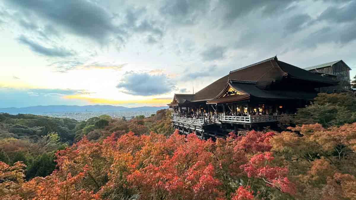 アメックス 清水寺 秋のナイトビューイング Only for Amex