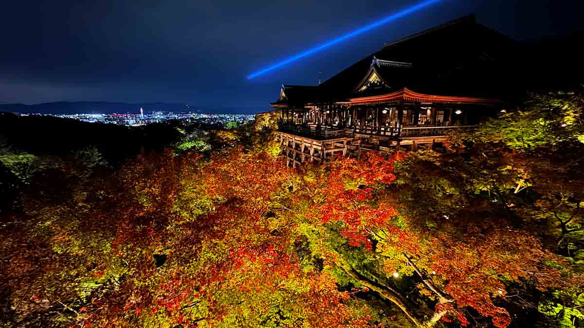 アメックス 清水寺 秋のナイトビューイング Only for Amex