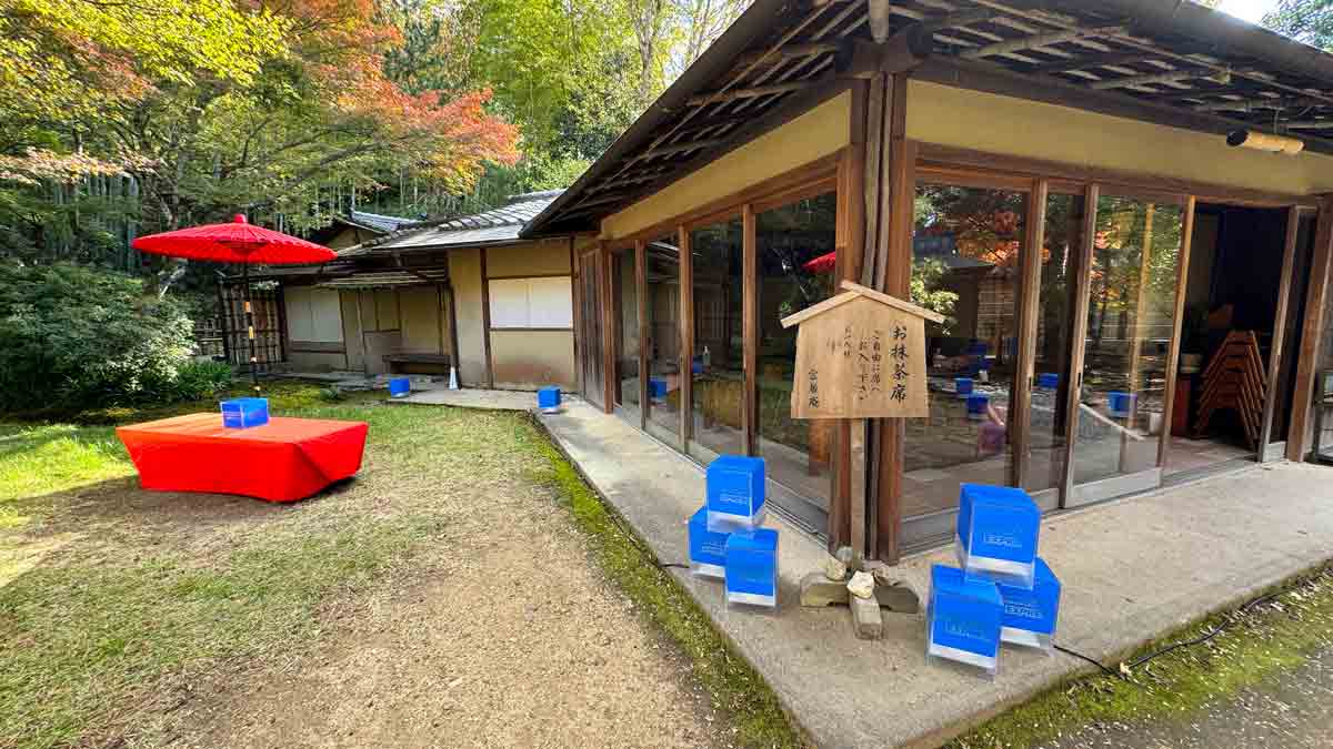 アメックス、紅葉の高台寺 プレミアムアクセス Only for Amex　雲居庵でお抹茶とお菓子