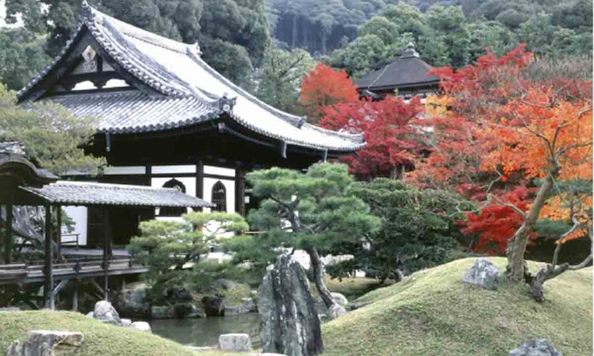 アメックス、紅葉の高台寺 プレミアムアクセス Only for Amex