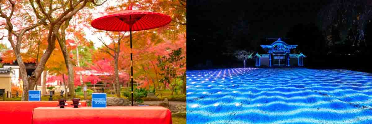 アメックスイベント 知新の扉 紅葉の高台寺