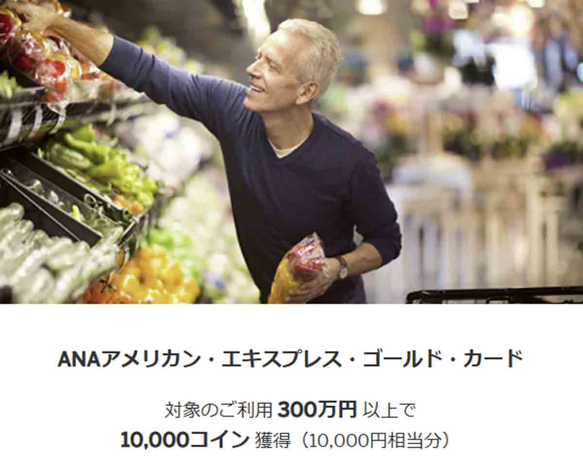 ANAアメックスゴールドカードのANA SKY コインボーナスでザクザク貯まる！ANA SKY コイン獲得プログラムとANA SKY コインプレゼント  使い方 - Creca-Style