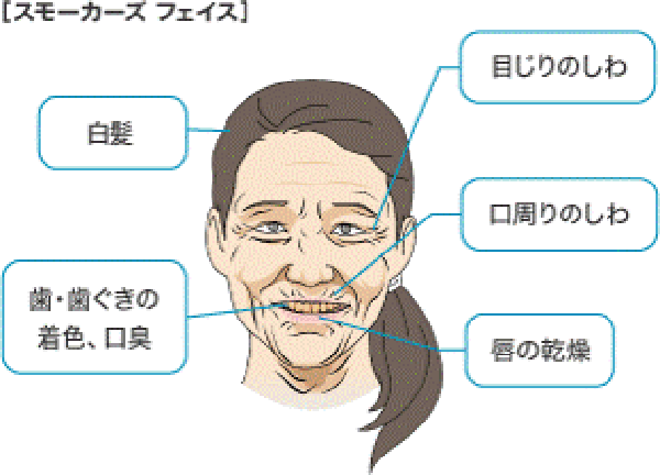 新たな禁煙方法にチャレンジ 書籍 習慣の力 を読んで喫煙習慣と決別しよう かえるくん総合研究所