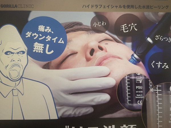 f:id:goldbird777:20191103001739j:plain f:id:goldbird777:20191103001739j:plain