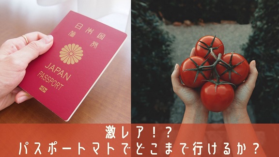 f:id:goldenfish8:20210606211920j:plain