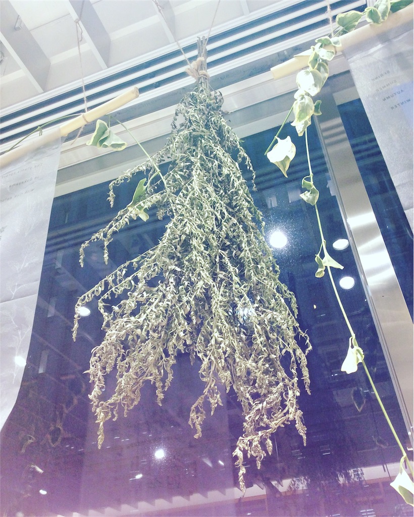 f:id:goldenmilk:20180904180513j:image