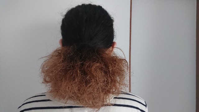 f:id:goldenmilk:20190109132126j:plain